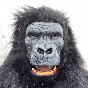 Meet your Posher, Alan